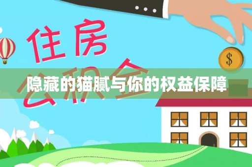崇信隐藏的猫腻与你的权益保障
