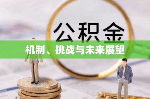 崇信机制、挑战与未来展望
